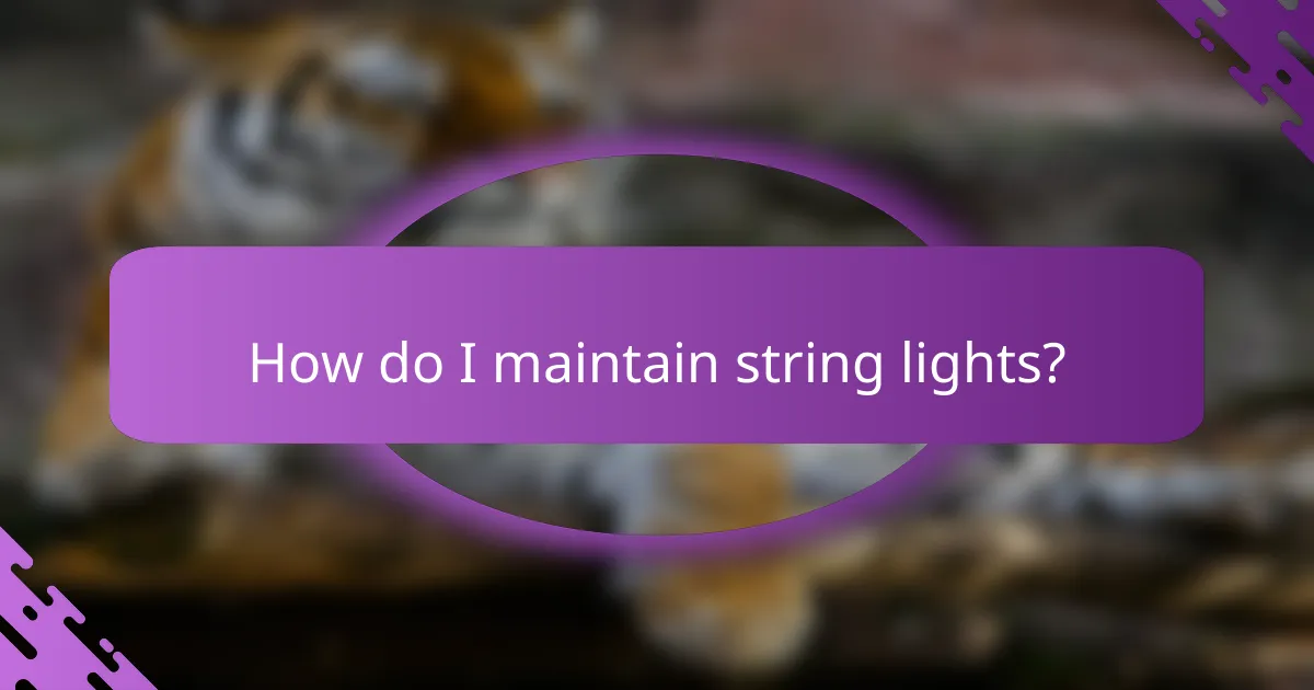 How do I maintain string lights?