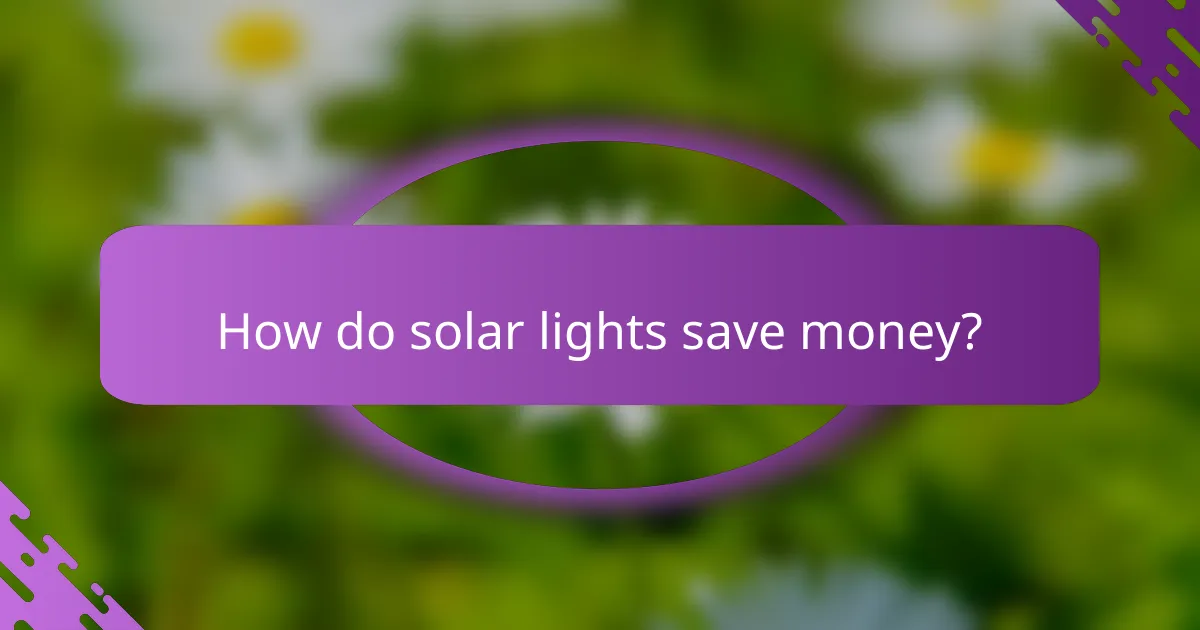 How do solar lights save money?