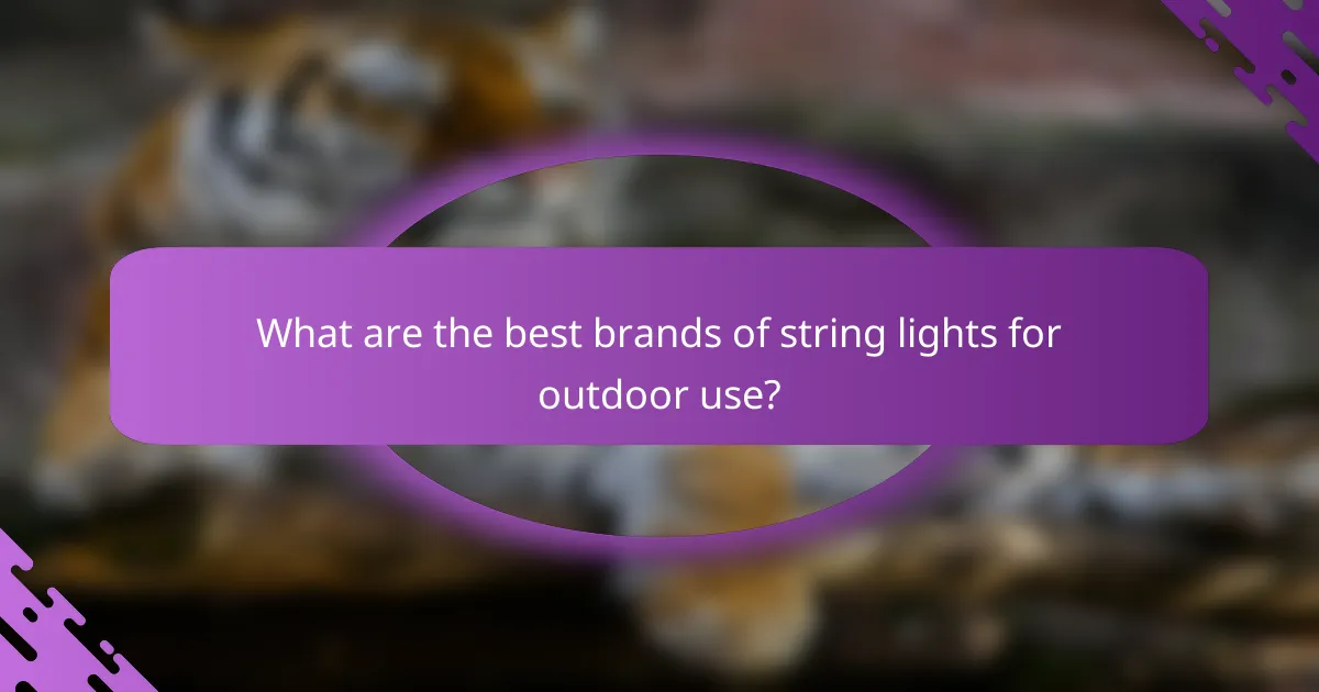 What are the best brands of string lights for outdoor use?