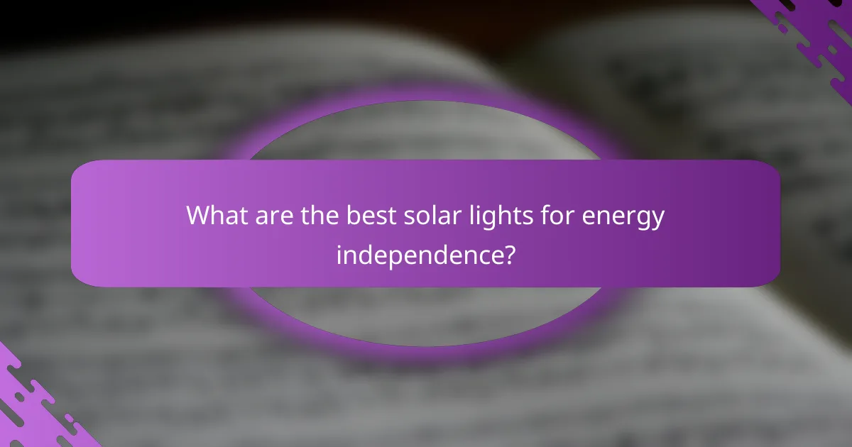What are the best solar lights for energy independence?