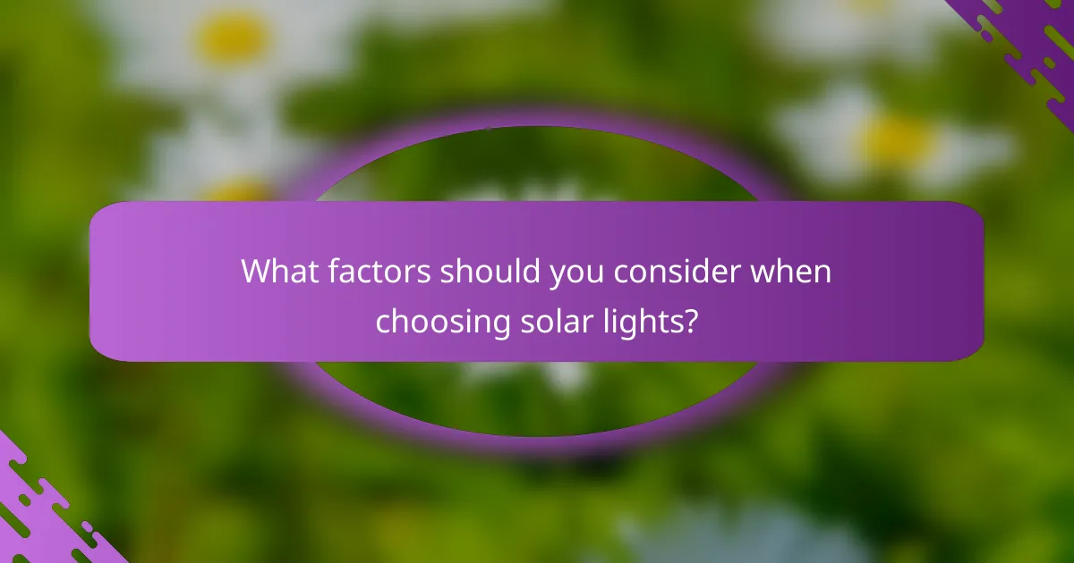 What factors should you consider when choosing solar lights?
